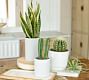 Modern White Cylinder Planter - Set of 3