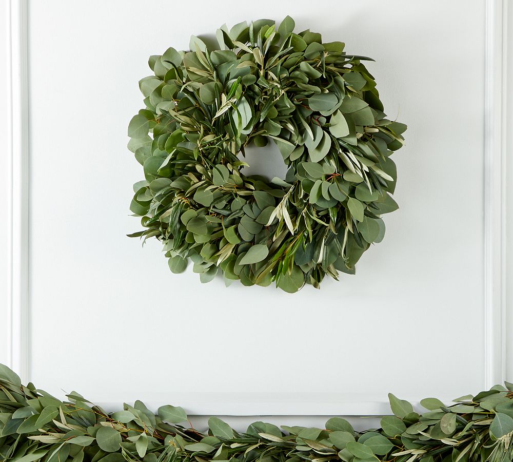 Fresh Silver Dollar Eucalyptus Olive Wreath &amp; Garland