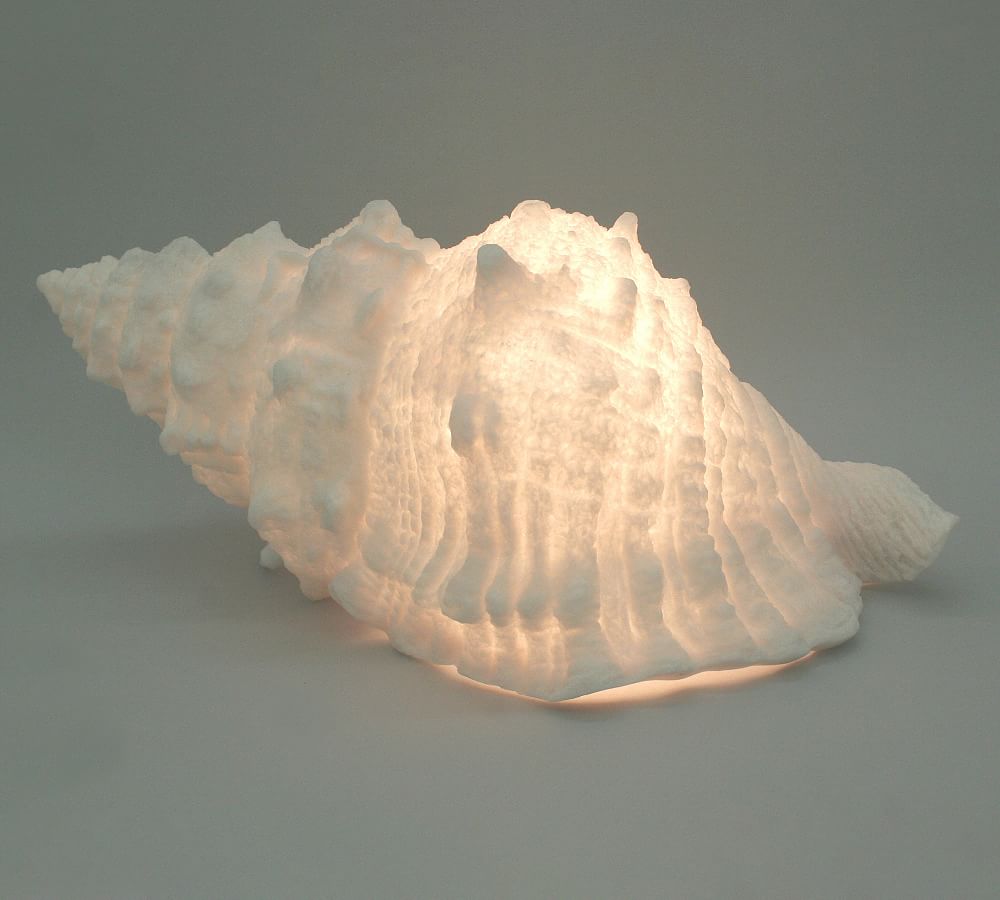 Decorative Lit Frosted Glass Sea Shell