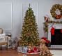7.5ft Lit Ashland Pine Artificial Christmas Tree