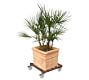 Wooden Plant Caddy On Wheels- 18&quot;