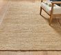 Delmont Jute Rug