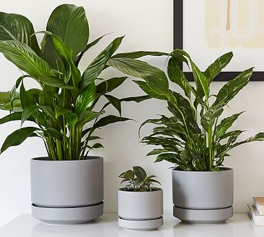 Modern Gray Ceramic Planter | Pottery Barn