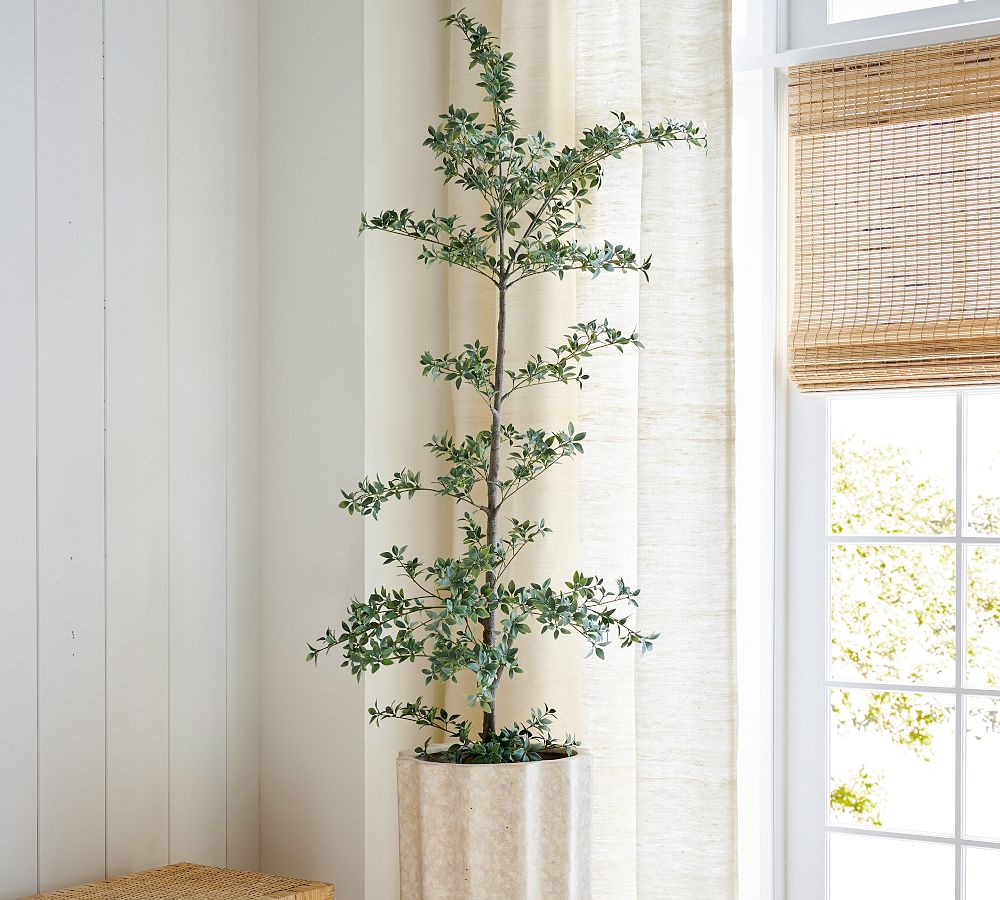 Faux Black Olive Tree Pottery Barn