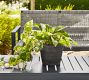 Black Terracotta Outdoor Planters