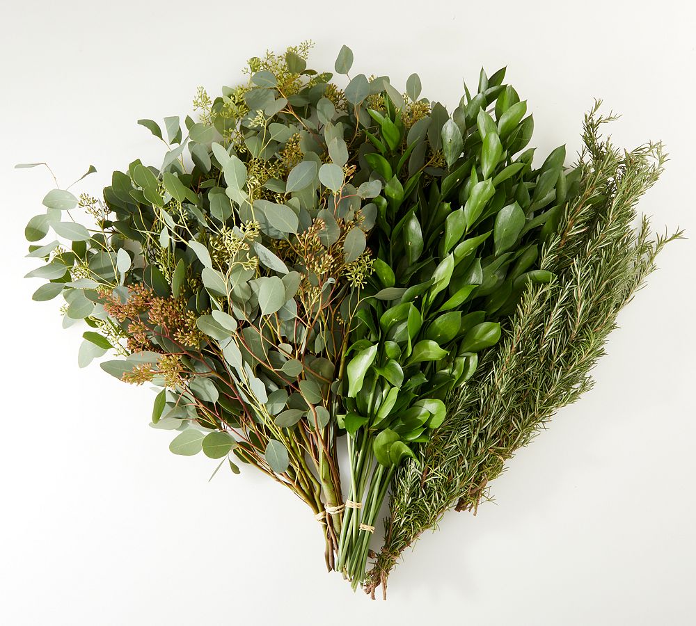 Live Ruscus, Seeded Eucalyptus &amp; Rosemary Bunches