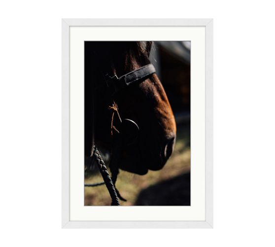 Velvet and Rope by Meg Haywood Sullivan Pottery Barn