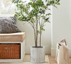 Bungalow Planter Collection