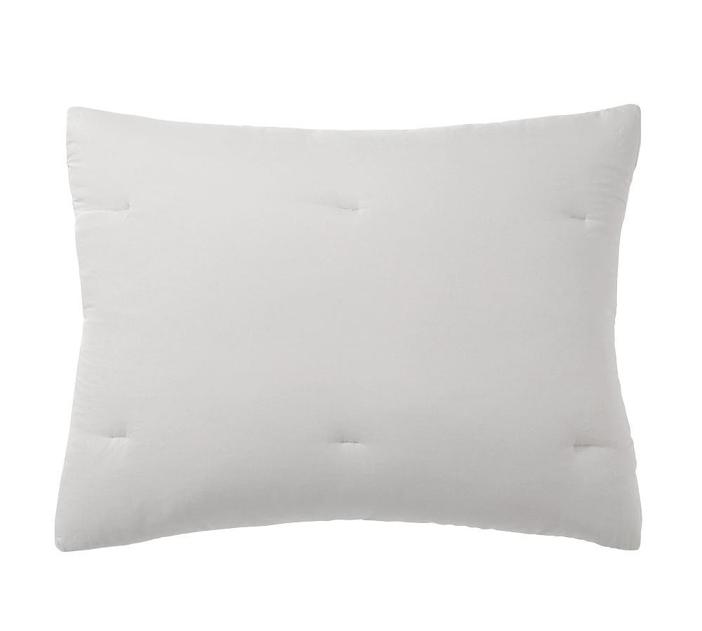 Dream Brushed Cotton Comforter Sham Set of 2 Size: Standard Color: Mirage