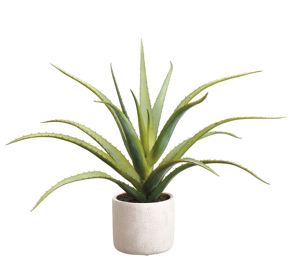 Faux Aloe Plants In Natural-Tone Cement Pot