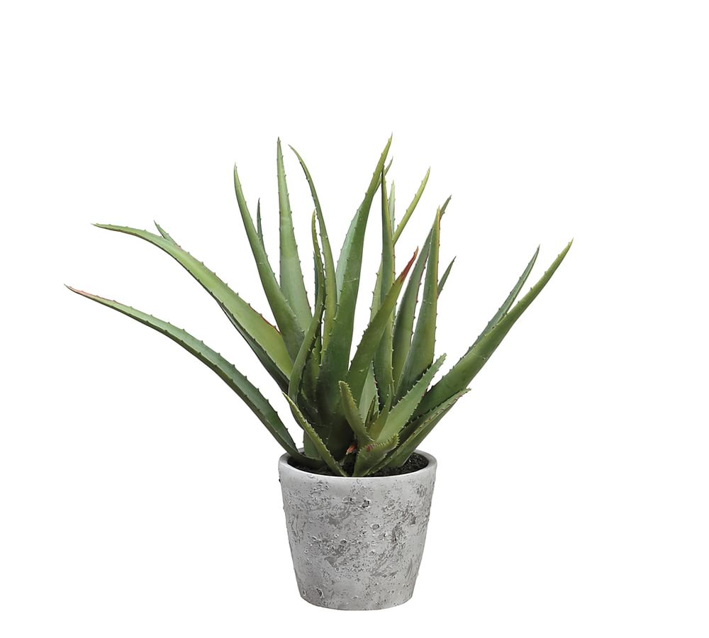 Faux Aloe Plant In Gray Cement Pot 