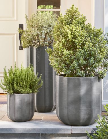 Planters &amp; Plant Stands