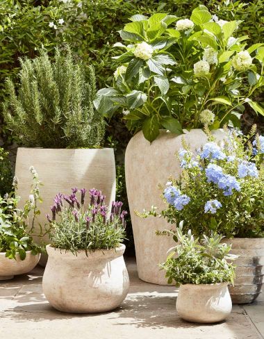 Planters &amp; Pots