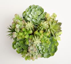 Faux Succulent Arrangement in Ceramic Planter | Pottery Barn