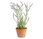 Faux Potted Lavender in Terracotta Pot