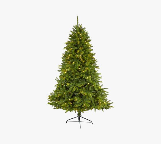 Lit Sierra Spruce Artificial Christmas Tree Pottery Barn