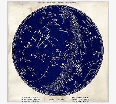 Framed Vintage Astronomical Chart - Blue | Pottery Barn