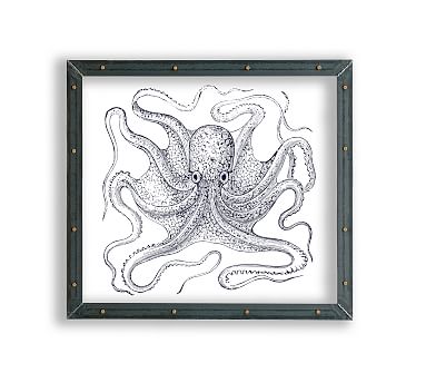 Octopus Framed Acrylic Print | Coastal Wall Art | Pottery Barn