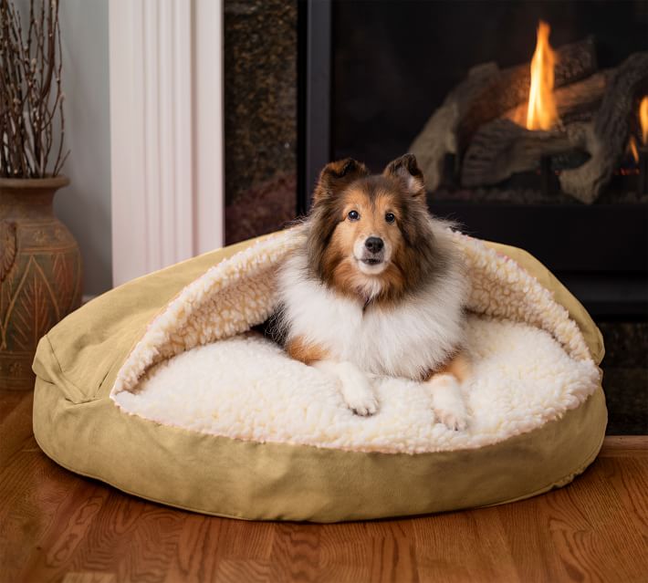 Round Pet Cave Dog Bed Large Olive Pottery Barn