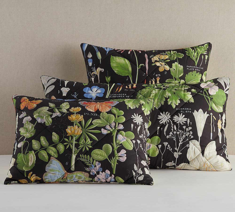 Poppy Organic Percale Comforter Sham Pottery Barn