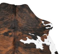 Tricolor Cow Hide Rug