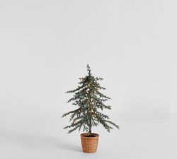 Lit Faux Draping Tree In Basket | Pottery Barn