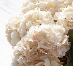 Lace Hydrangea Bundle