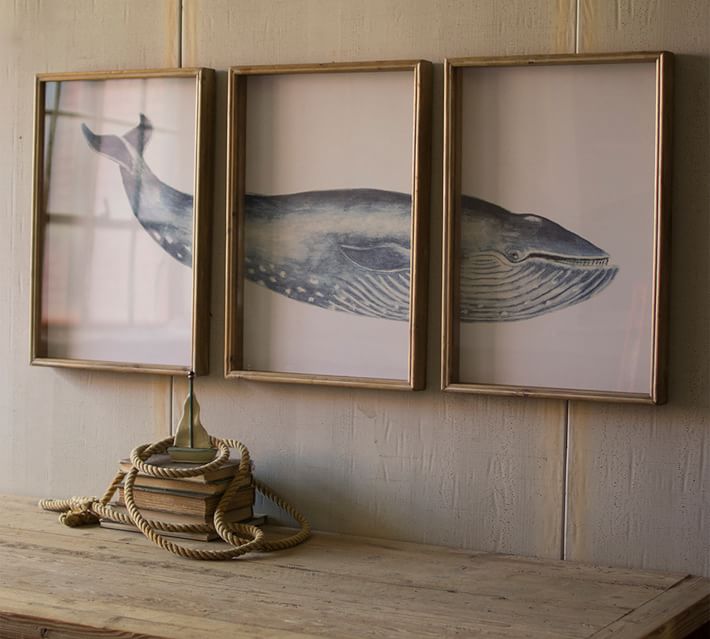 Set of 3 Whale art, White little fishes, Triptych art prints, Beach offers house decor, Canvas set of prints, Hamptons style, Fish illustration