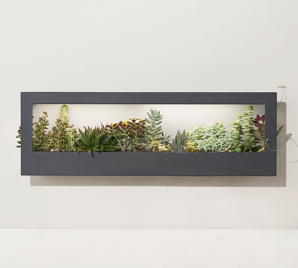Growframe, 32" X 11.5"