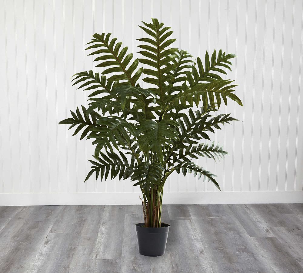 Faux Evergreen Plant Pottery Barn
