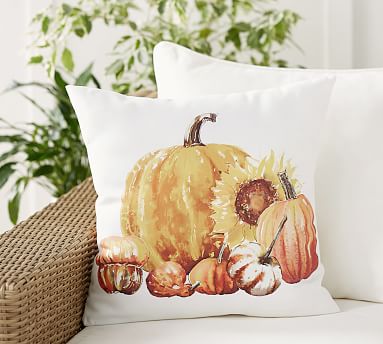 Pottery barn pumpkin online pillow