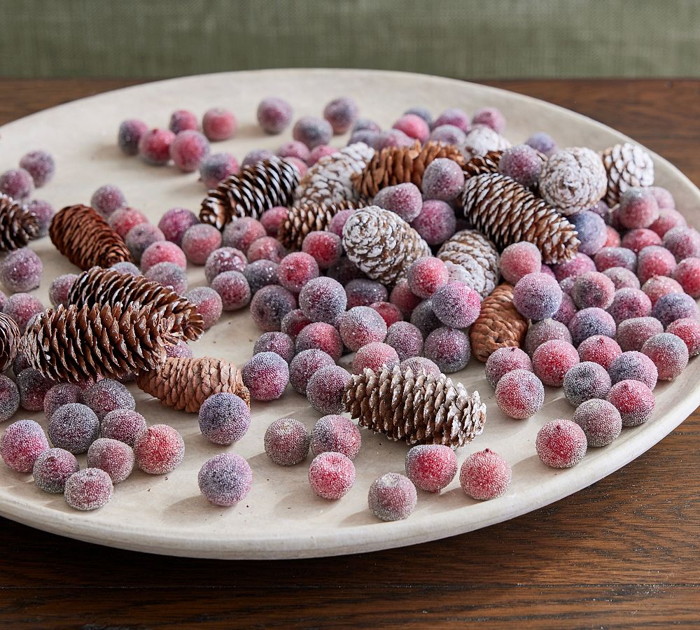 Pinecone And Cranberry Vase Filler Pottery Barn