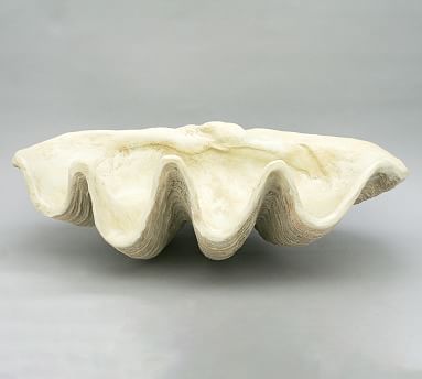 Giant Clam Decorative Object | Pottery Barn