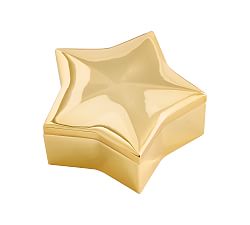 The Emily &amp; Meritt Brass Star Jewelry Box