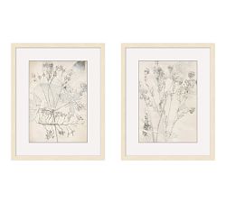 Ivory Foliage Prints | Pottery Barn