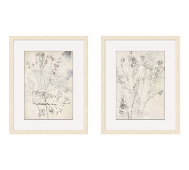 Ivory Foliage Prints | Pottery Barn