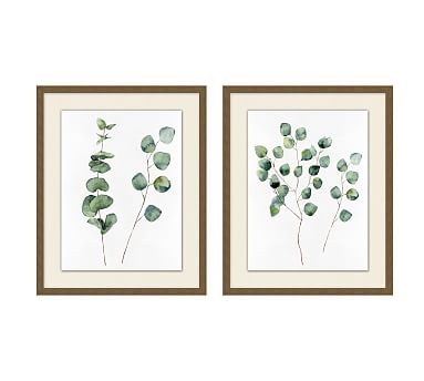 Whistling Stem Prints | Pottery Barn