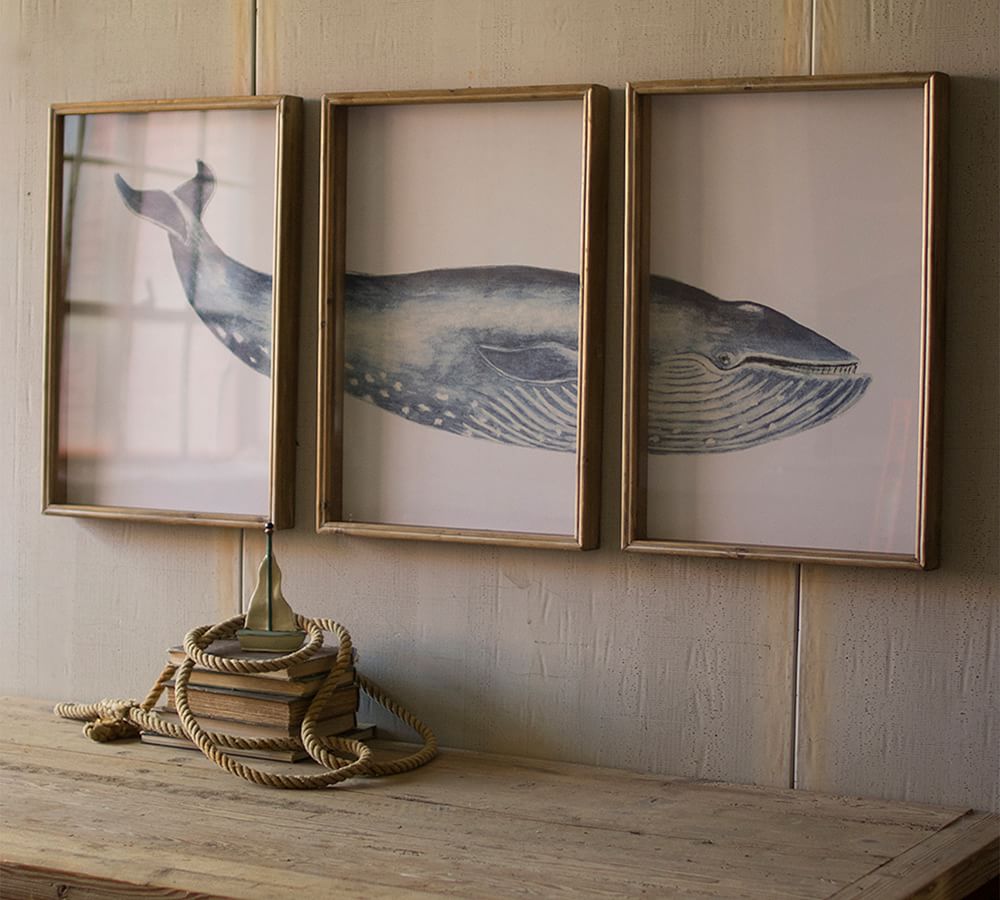 Triptych Framed Whale Print on Canvas with Wood Frame