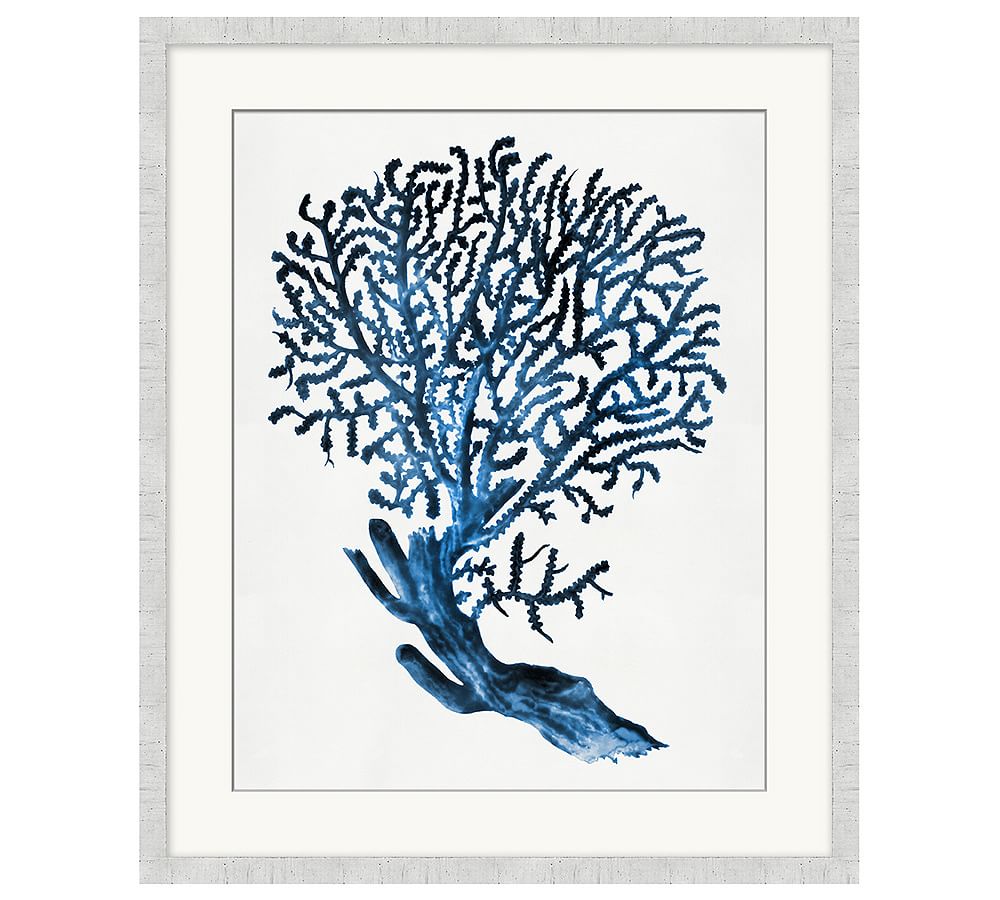 Blue Coral Coastal Print with White Modern Frame, 20 x 24