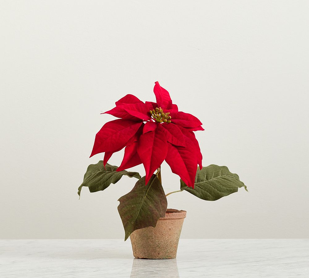 Faux Potted Poinsettias, Small