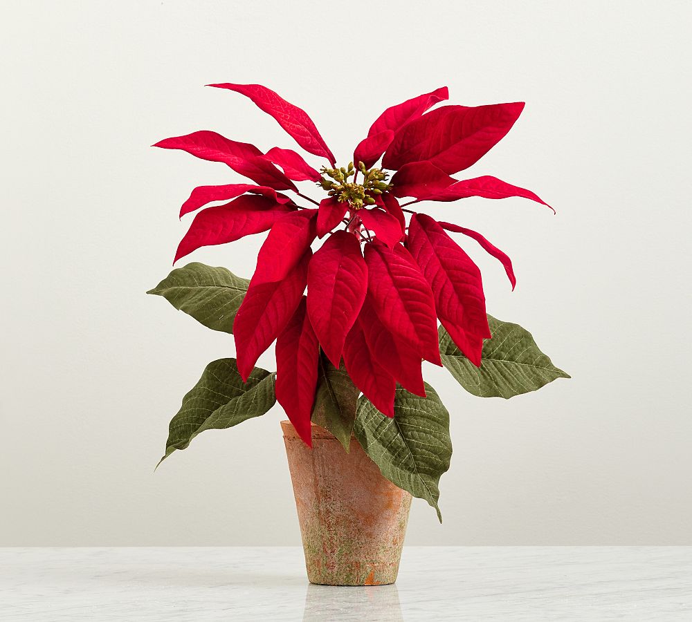 Faux Potted Poinsettias, Large