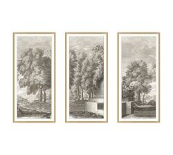 Etched Garden Triptych Framed Print