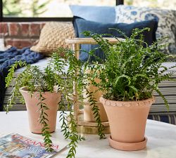 Provence Scalloped Edge Outdoor Planters