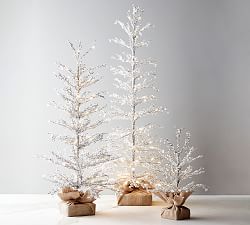 Lit Snowy Crystal Trees