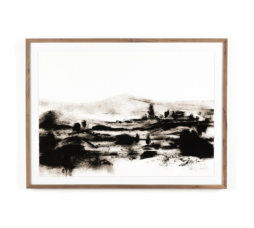 Mono Land 24" x 32" Black and White Walnut Framed Print