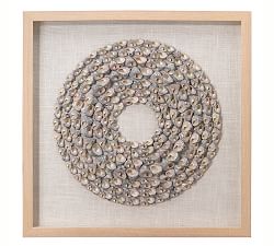 Trochidae Shell Shadow Box Wall Art