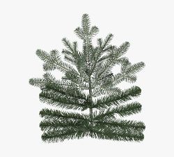 Tree Classics by Balsam Hill Lit Grand Fir Faux Christmas Tree