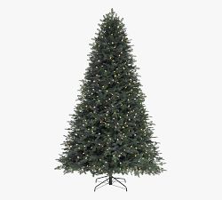 Tree Classics by Balsam Hill Lit Grand Fir Faux Christmas Tree