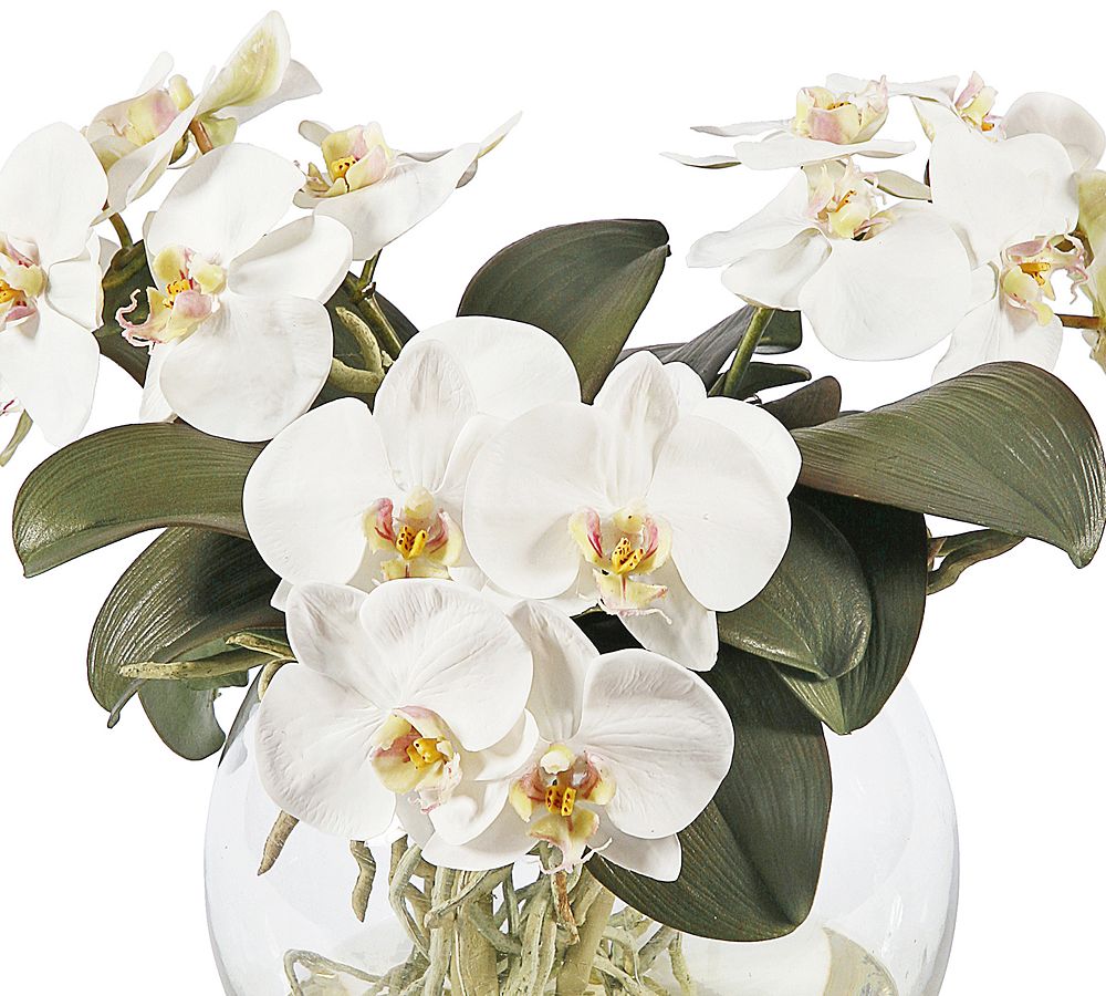 Faux Orchid Phalaenopsis Arrangement in Pot