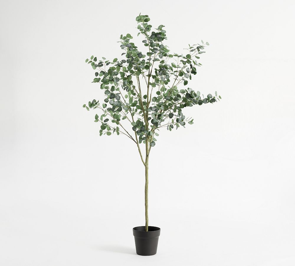 Faux Silver Dollar Eucalyptus Tree